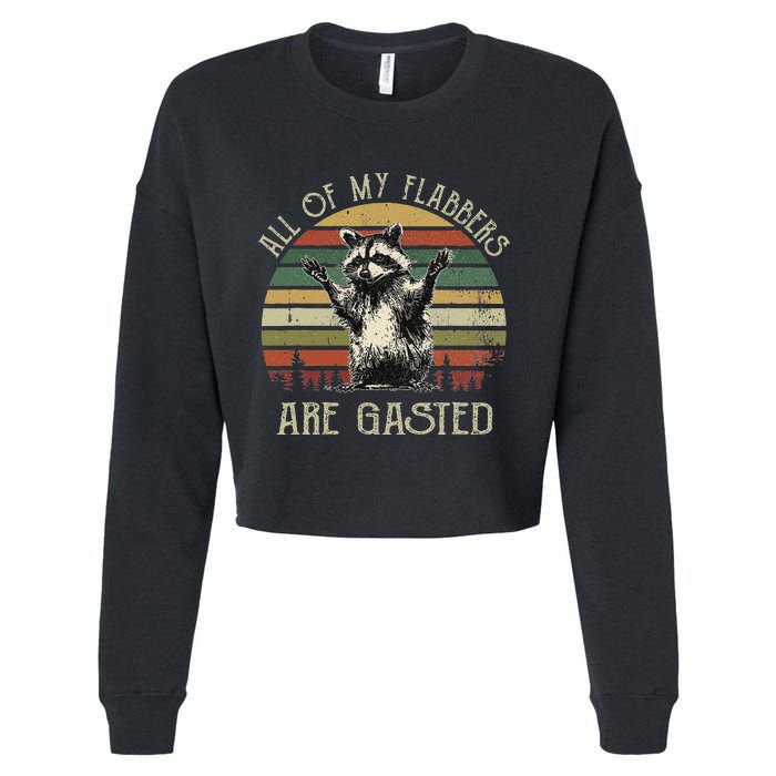 All Of My Flabbers Are Gasted Raccoon Meme Vintage Retro Cropped Pullover Crew