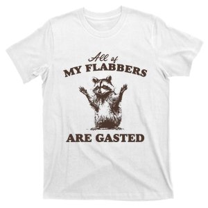 All Of My Flabbers Are Gasted Funny Raccoon Gift T-Shirt