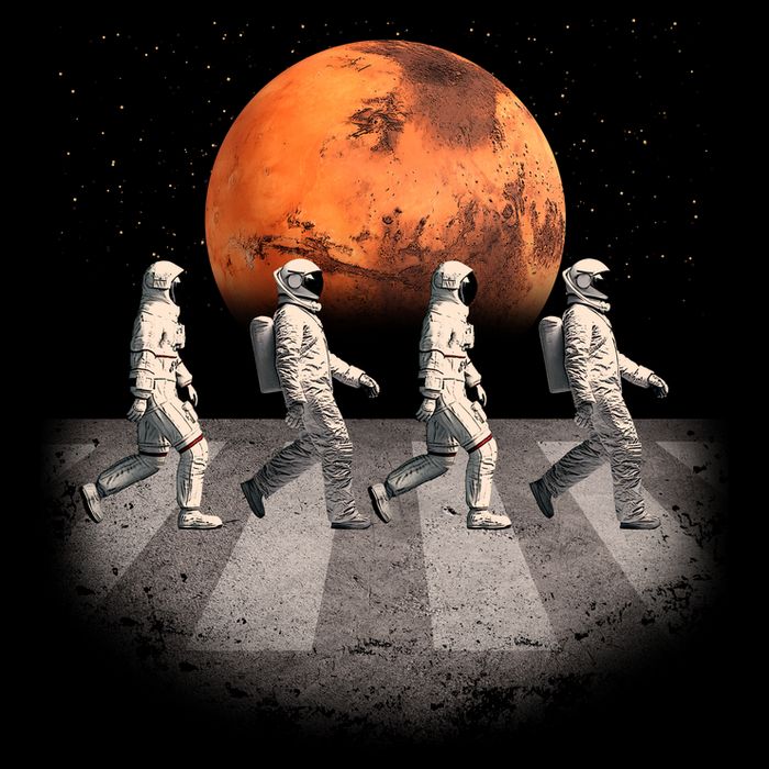 Astronauts Occupy Mars Crosswalk 16 in Basic Backpack