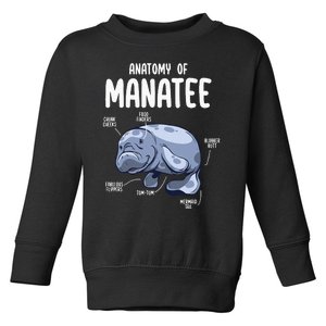 Anatomy Of Manatee Funny Sea Animal Chubby Manatee Lovers Toddler Sweatshirt