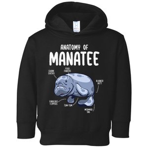 Anatomy Of Manatee Funny Sea Animal Chubby Manatee Lovers Toddler Hoodie