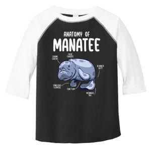 Anatomy Of Manatee Funny Sea Animal Chubby Manatee Lovers Toddler Fine Jersey T-Shirt