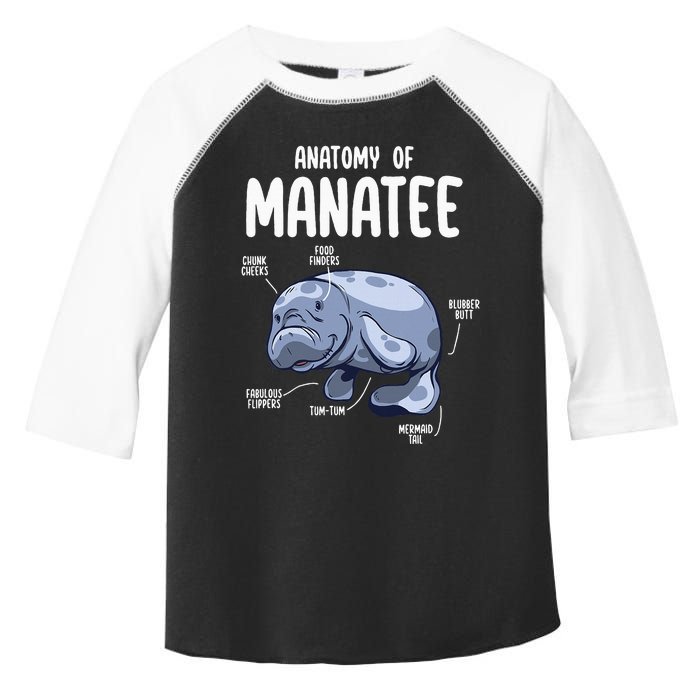 Anatomy Of Manatee Funny Sea Animal Chubby Manatee Lovers Toddler Fine Jersey T-Shirt