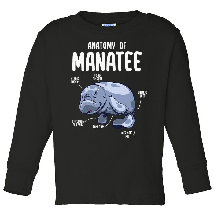 Anatomy Of Manatee Funny Sea Animal Chubby Manatee Lovers Toddler Long Sleeve Shirt