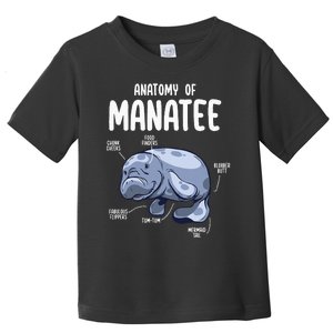 Anatomy Of Manatee Funny Sea Animal Chubby Manatee Lovers Toddler T-Shirt