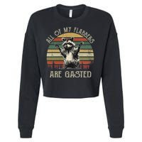 All Of My Flabbers Are Gasted Raccoon Cropped Pullover Crew
