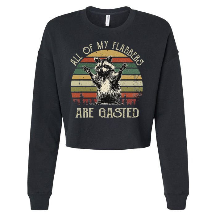 All Of My Flabbers Are Gasted Raccoon Cropped Pullover Crew