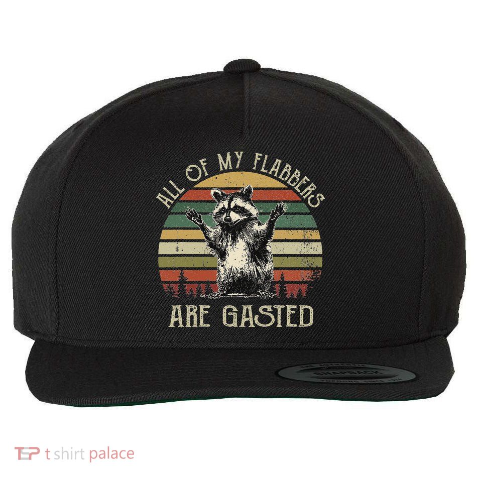 All Of My Flabbers Are Gasted Raccoon Wool Snapback Cap
