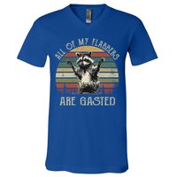 All Of My Flabbers Are Gasted Raccoon V-Neck T-Shirt