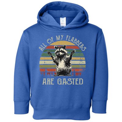 All Of My Flabbers Are Gasted Raccoon Toddler Hoodie