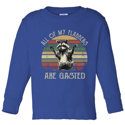 All Of My Flabbers Are Gasted Raccoon Toddler Long Sleeve Shirt