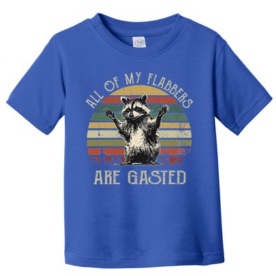 All Of My Flabbers Are Gasted Raccoon Toddler T-Shirt