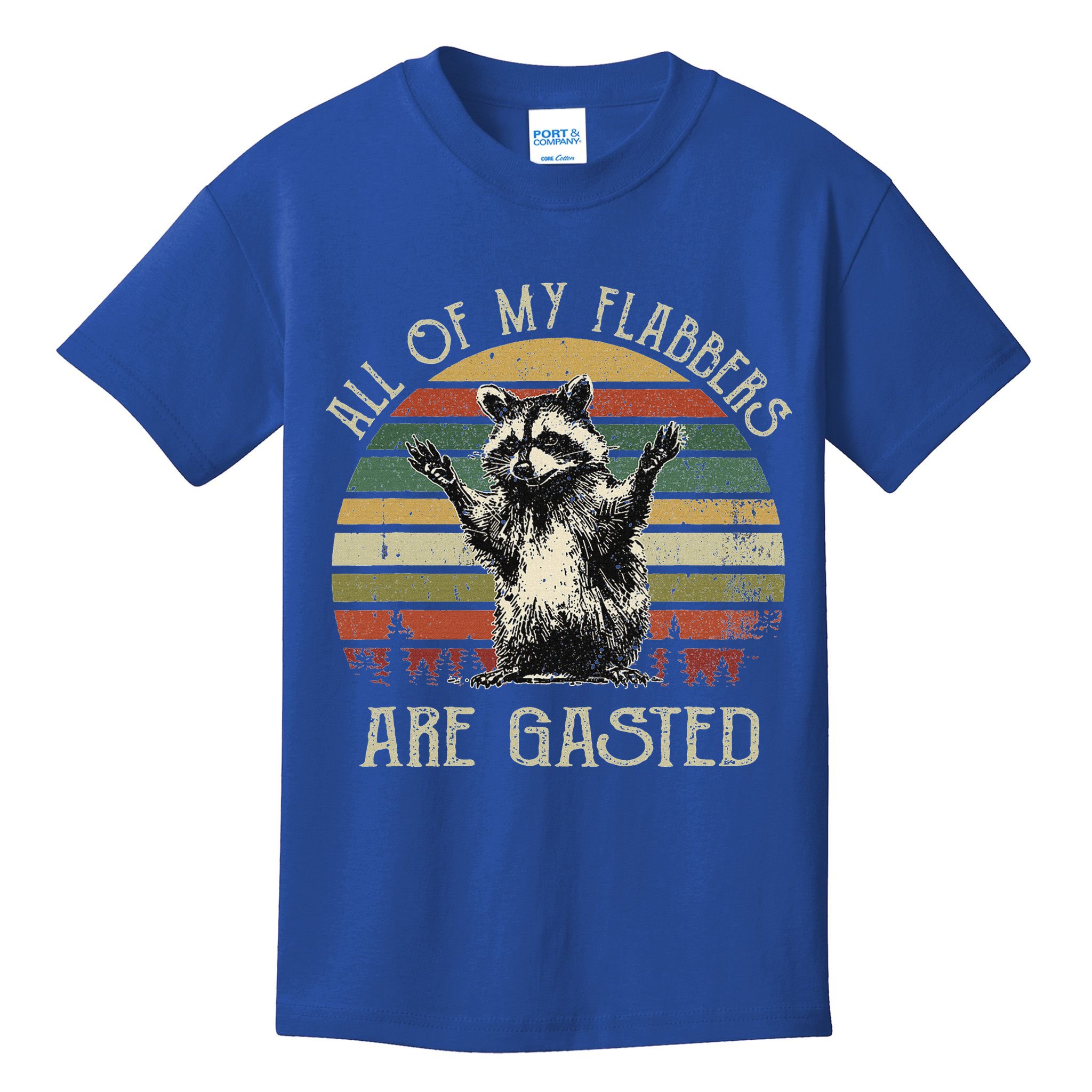 All Of My Flabbers Are Gasted Raccoon Kids T-Shirt