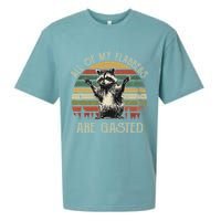 All Of My Flabbers Are Gasted Raccoon Sueded Cloud Jersey T-Shirt