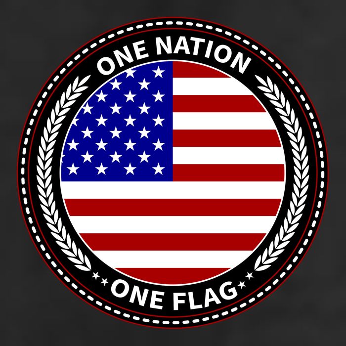 America One Nation One Flag 11oz C Handle Ceramic Mug