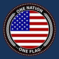 America One Nation One Flag T-Shirt