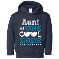 Aunt Of One Cool Dude Funny Birthday Boy Cool Toddler Hoodie