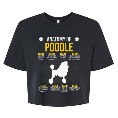 Anatomy Of Poodle Dog Lover Bella+Canvas Jersey Crop Tee