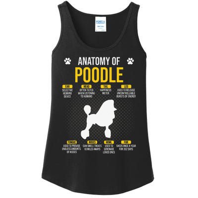 Anatomy Of Poodle Dog Lover Ladies Essential Tank