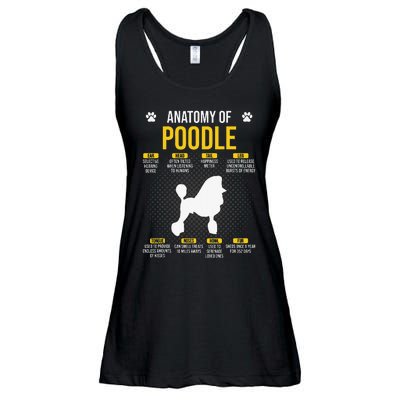 Anatomy Of Poodle Dog Lover Ladies Essential Flowy Tank