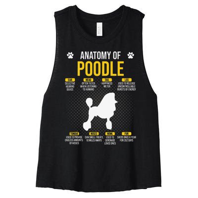 Anatomy Of Poodle Dog Lover Women's Racerback Cropped Tank