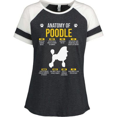 Anatomy Of Poodle Dog Lover Enza Ladies Jersey Colorblock Tee