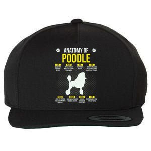 Anatomy Of Poodle Dog Lover Funny Wool Snapback Cap