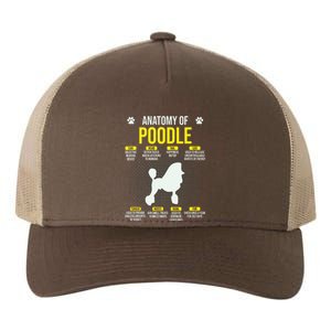 Anatomy Of Poodle Dog Lover Funny Yupoong Adult 5-Panel Trucker Hat