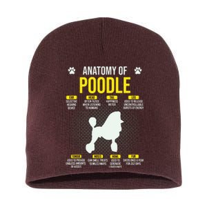 Anatomy Of Poodle Dog Lover Funny Short Acrylic Beanie