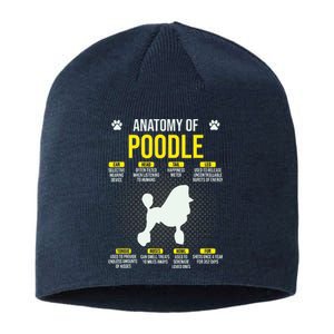 Anatomy Of Poodle Dog Lover Funny Sustainable Beanie