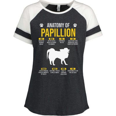 Anatomy Of Papillion Dog Lover Enza Ladies Jersey Colorblock Tee