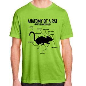 Anatomy Of Rat Rat Lovers And Pet Rat Owners Great Gift Adult ChromaSoft Performance T-Shirt