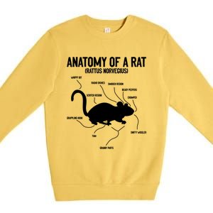 Anatomy Of Rat Rat Lovers And Pet Rat Owners Great Gift Premium Crewneck Sweatshirt