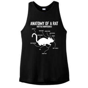 Anatomy Of Rat Rat Lovers And Pet Rat Owners Great Gift Ladies PosiCharge Tri-Blend Wicking Tank