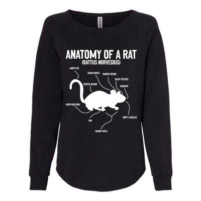 Anatomy Of Rat Rat Lovers And Pet Rat Owners Great Gift Womens California Wash Sweatshirt