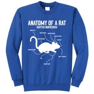 Anatomy Of Rat Rat Lovers And Pet Rat Owners Great Gift Sweatshirt