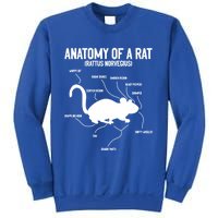 Anatomy Of Rat Rat Lovers And Pet Rat Owners Great Gift Sweatshirt