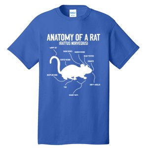 Anatomy Of Rat Rat Lovers And Pet Rat Owners Great Gift Tall T-Shirt