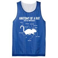 Anatomy Of Rat Rat Lovers And Pet Rat Owners Great Gift Mesh Reversible Basketball Jersey Tank