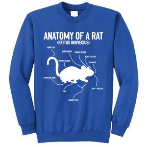 Anatomy Of Rat Rat Lovers And Pet Rat Owners Great Gift Tall Sweatshirt