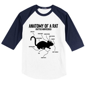 Anatomy Of Rat Rat Lovers And Pet Rat Owners Great Gift Baseball Sleeve Shirt