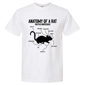 Anatomy Of Rat Rat Lovers And Pet Rat Owners Great Gift Garment-Dyed Heavyweight T-Shirt