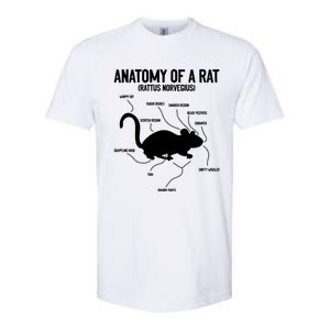 Anatomy Of Rat Rat Lovers And Pet Rat Owners Great Gift Softstyle CVC T-Shirt