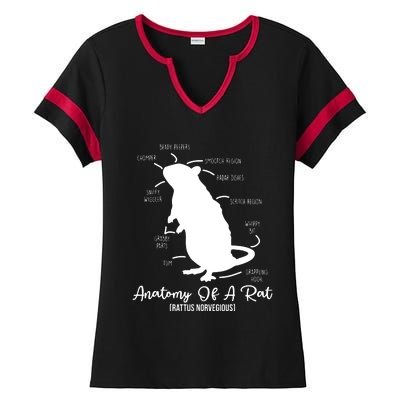 Anatomy Of Rat For Any Rat Lovers And Pet Rat Owners Ladies Halftime Notch Neck Tee