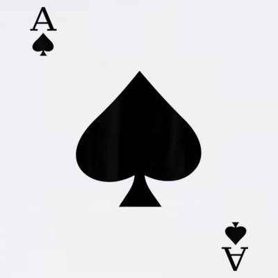 Ace Of Spades Deck Of Cards Halloween Costume T-Shirt