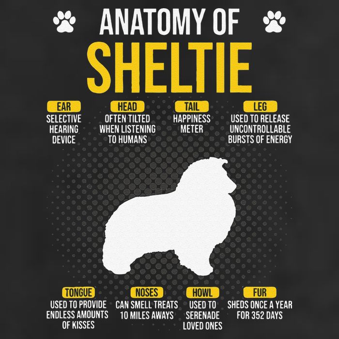 Anatomy Of Sheltie Dog Lover 7 Panel Mesh Trucker Snapback Hat