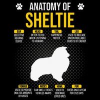 Anatomy Of Sheltie Dog Lover Impact Tech Backpack