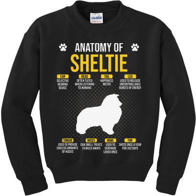 Anatomy Of Sheltie Dog Lover Kids Sweatshirt