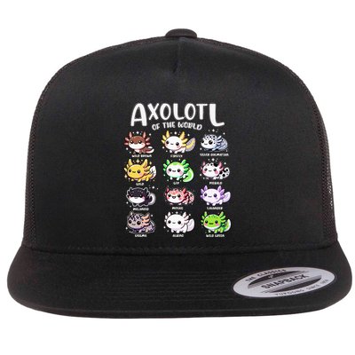 Axolotls Of The World Kawaii Types Of Axolotl Fish Amphibian Flatbill Hat