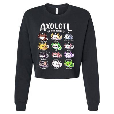 Axolotls Of The World Kawaii Types Of Axolotl Fish Amphibian Cropped Pullover Crew